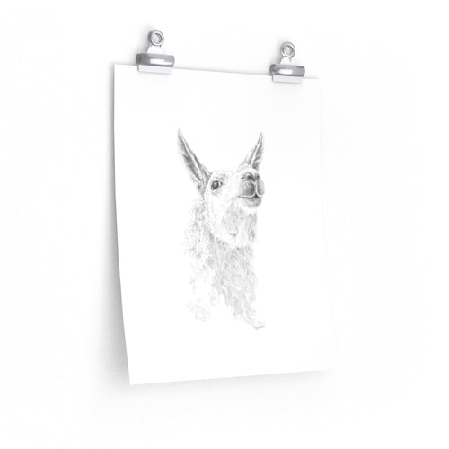 LARRY Llama- Art Paper Print