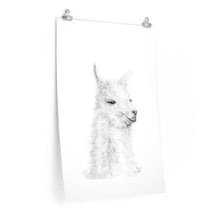 NANCY Llama- Art Paper Print