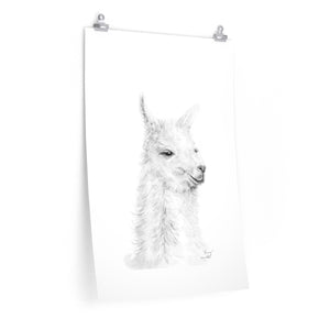 NANCY Llama- Art Paper Print