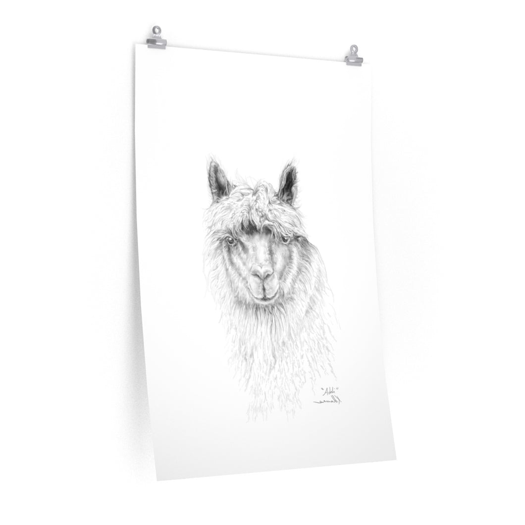 ADDI Llama- Art Paper Print