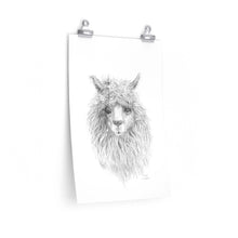 EDDIE Llama- Art Paper Print
