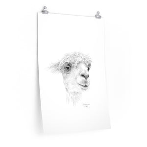 DOMINIQUE Llama- Art Paper Print