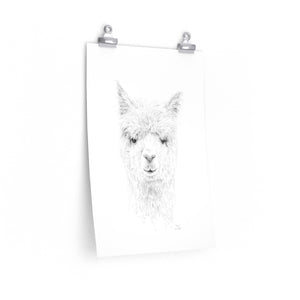 DOUG Llama- Art Paper Print