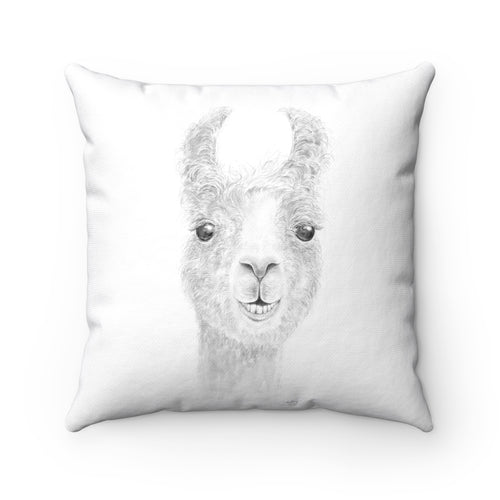 Llama Pillow - MALLORY