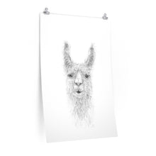 NIKKI Llama- Art Paper Print