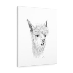 OMAR Llama - Art Canvas