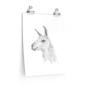 LENNOX Llama- Art Paper Print