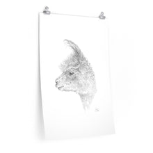 AARON Llama- Art Paper Print