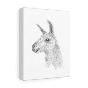 LENNOX Llama - Art Canvas