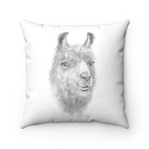 Llama Pillow - KAYLEE