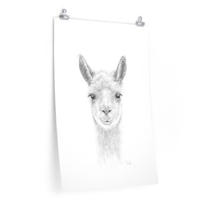 TAMARA Llama- Art Paper Print