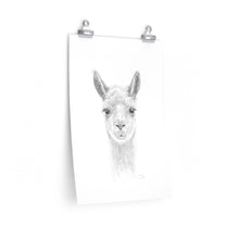 TAMARA Llama- Art Paper Print