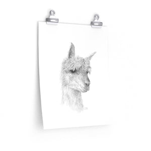 AUSTIN Llama- Art Paper Print