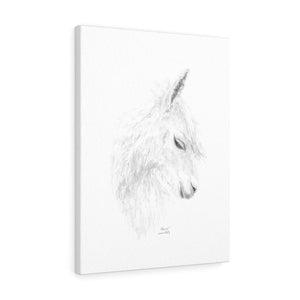 ALAINA Llama - Art Canvas