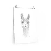 PAYTON Llama- Art Paper Print
