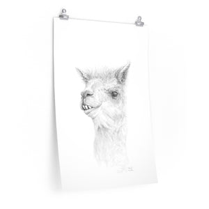 NOAH Llama- Art Paper Print