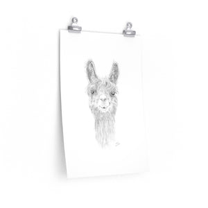 PAYTON Llama- Art Paper Print