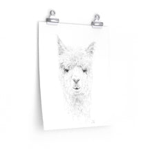 DOUG Llama- Art Paper Print