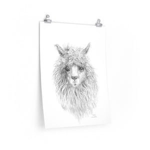 EDDIE Llama- Art Paper Print