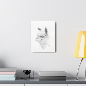 JACKSON Llama - Art Canvas