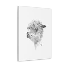 WYATT Llama - Art Canvas