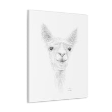 PARIS Llama - Art Canvas