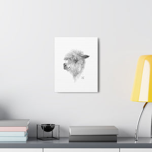 WYATT Llama - Art Canvas