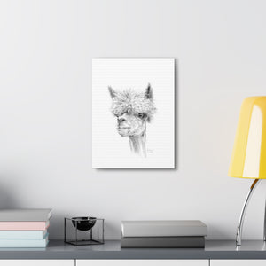 ANDREW llama- Art Canvas
