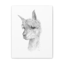 GRAHAM llama- Art Canvas