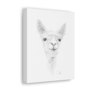 PARIS Llama - Art Canvas
