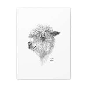 WYATT Llama - Art Canvas