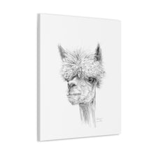 ANDREW llama- Art Canvas