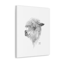 WYATT Llama - Art Canvas