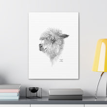 WYATT Llama - Art Canvas