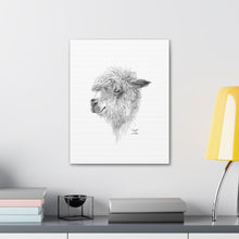 WYATT Llama - Art Canvas