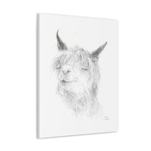 LOGAN Llama - Art Canvas