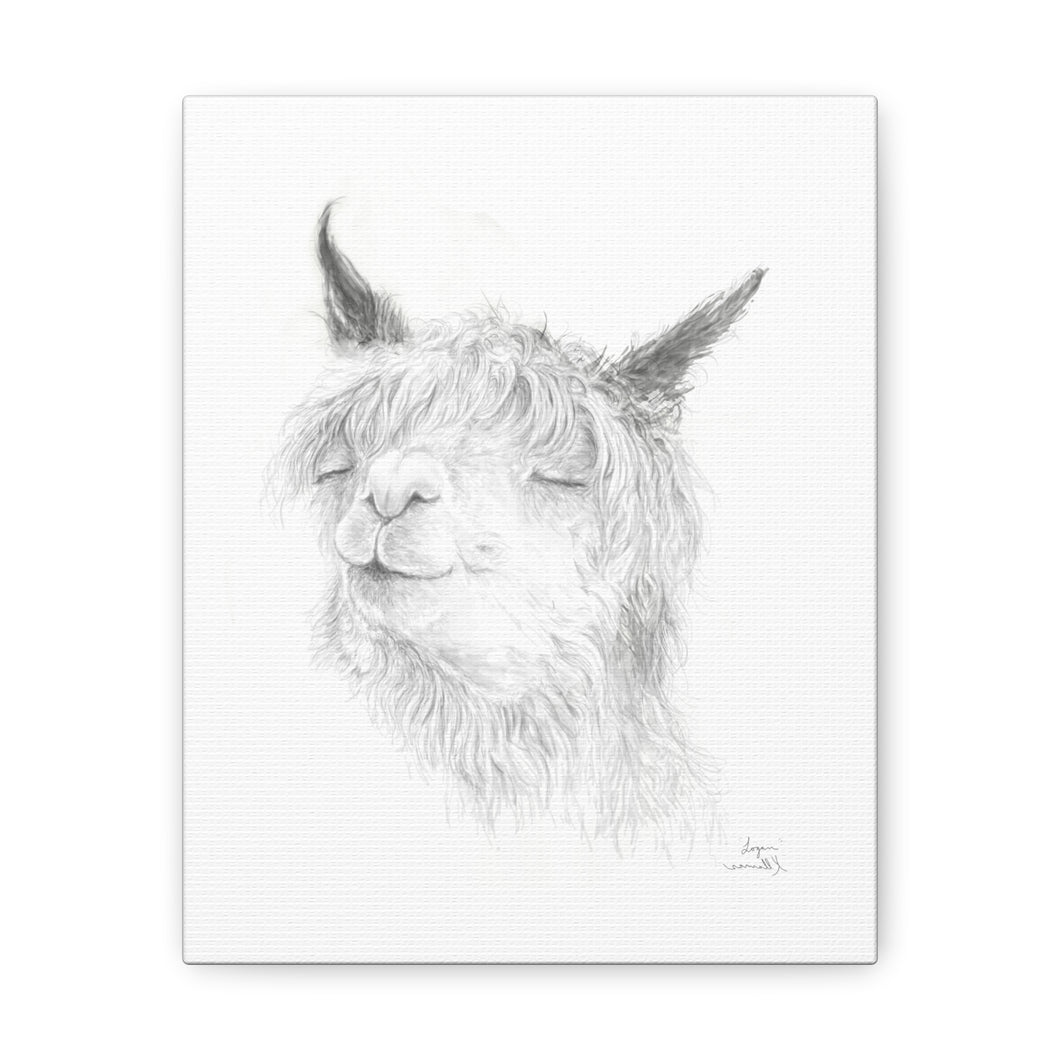 LOGAN Llama - Art Canvas