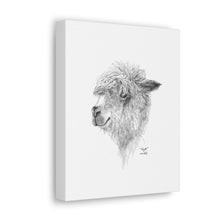 WYATT Llama - Art Canvas