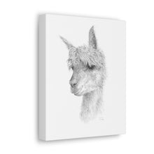 GRAHAM llama- Art Canvas