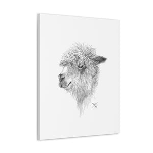 WYATT Llama - Art Canvas