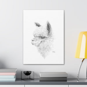 JACKSON Llama - Art Canvas