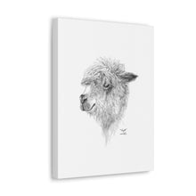 WYATT Llama - Art Canvas