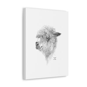 WYATT Llama - Art Canvas