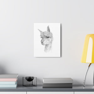 GRAHAM llama- Art Canvas