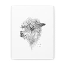 WYATT Llama - Art Canvas