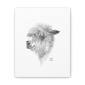 WYATT Llama - Art Canvas