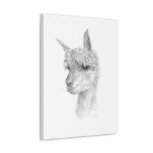 GRAHAM llama- Art Canvas