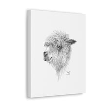 WYATT Llama - Art Canvas