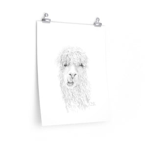 BROOKE Llama- Art Paper Print