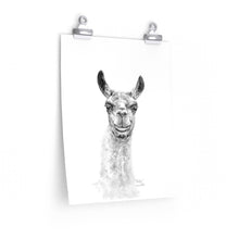 KAILYN Llama- Art Paper Print